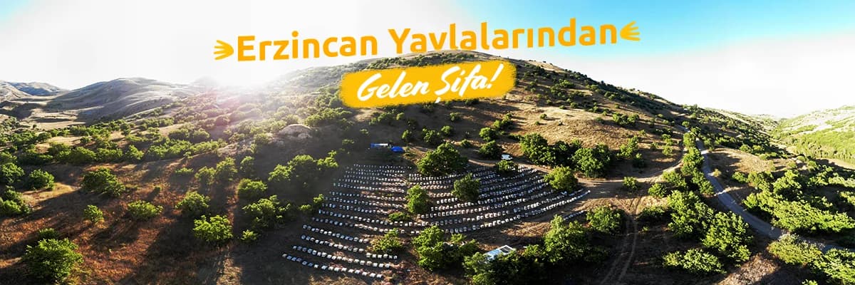 Erzincan Yaylalarından Gelen Şifa