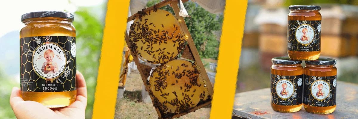 Doğal Polifloralı Yayla Çiçek Balı