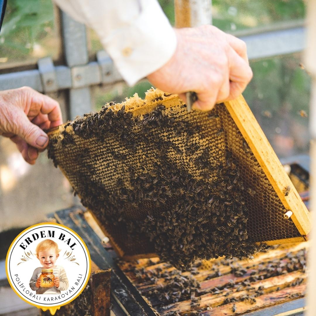 Bal Nedir? Gerçek Bal Nasıl Olmalıdır?